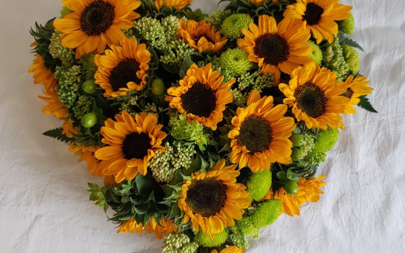 Herz 1 ab